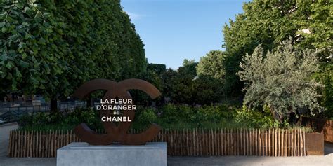 Visite jardins Chanel 